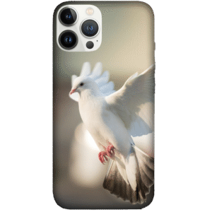 Birds 001