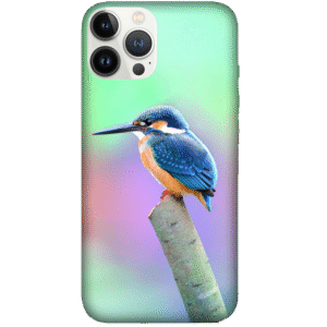 Birds 014