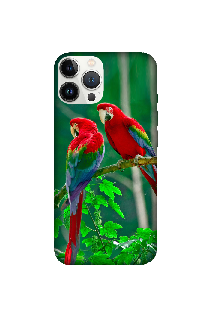 Birds 023