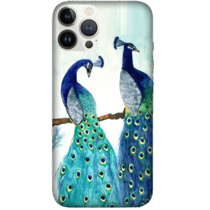 Birds 026