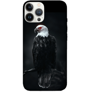 Birds 028