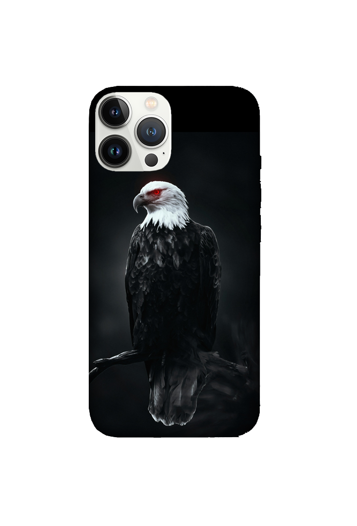Birds 028
