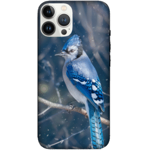Birds 029