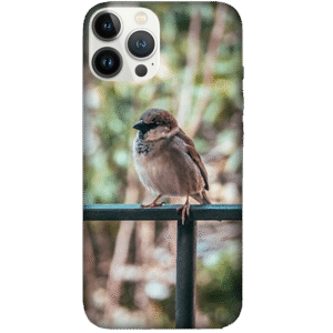 Birds 033