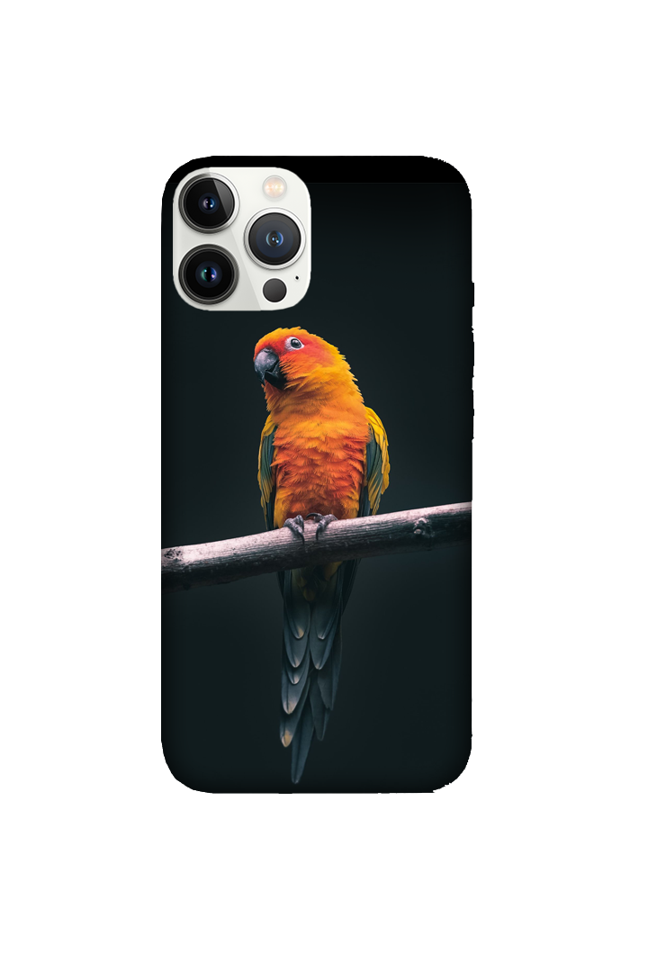 Birds 036