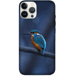 Birds 040