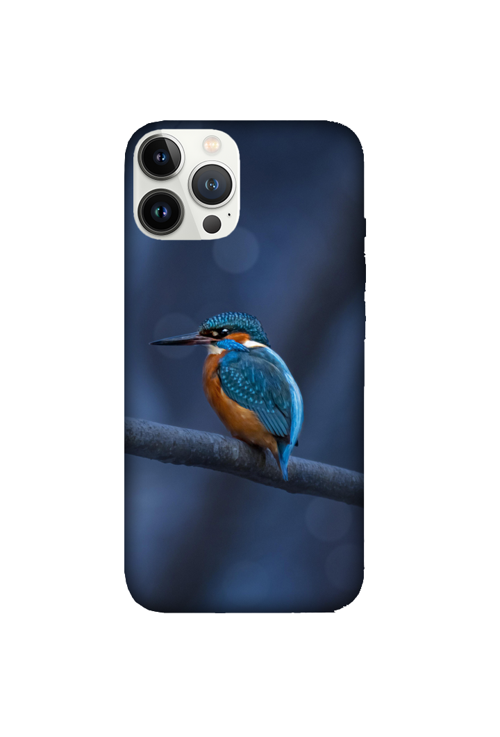 Birds 040