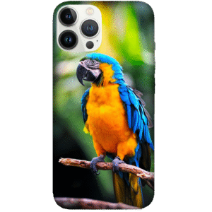 Birds 042
