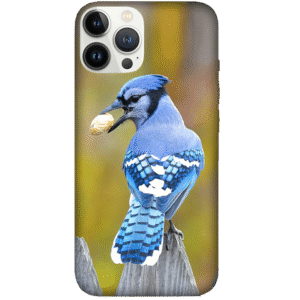 Birds 044