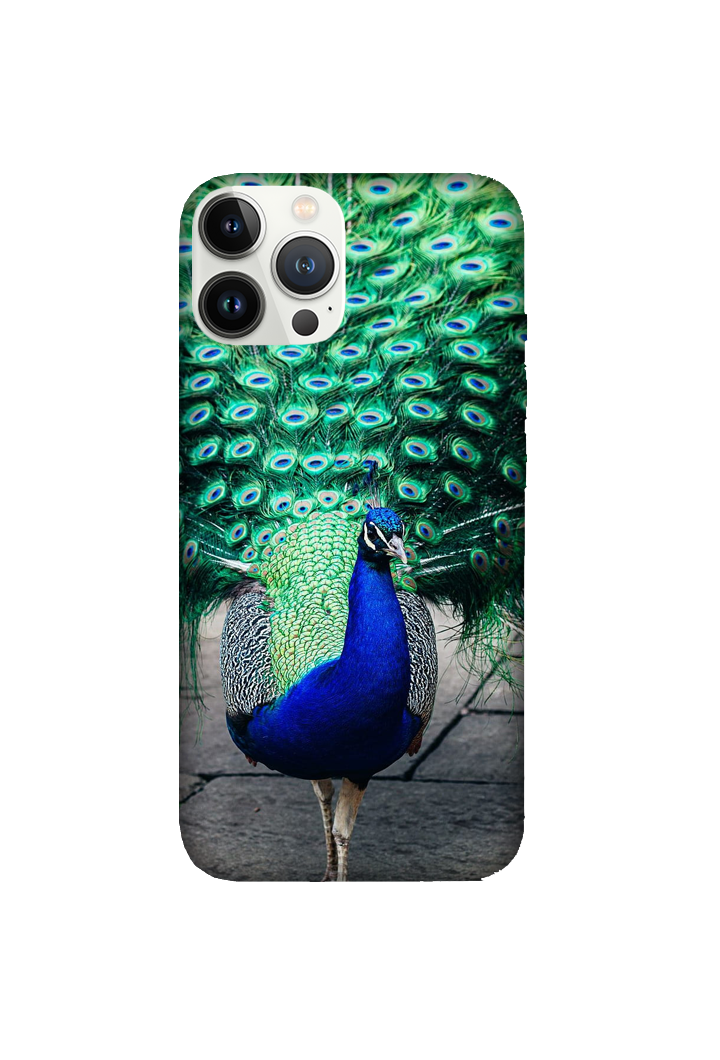 Birds 054