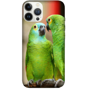 Birds 062