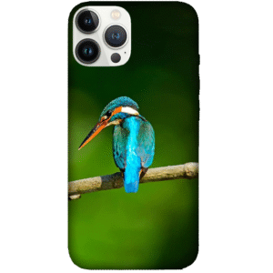 Birds 070