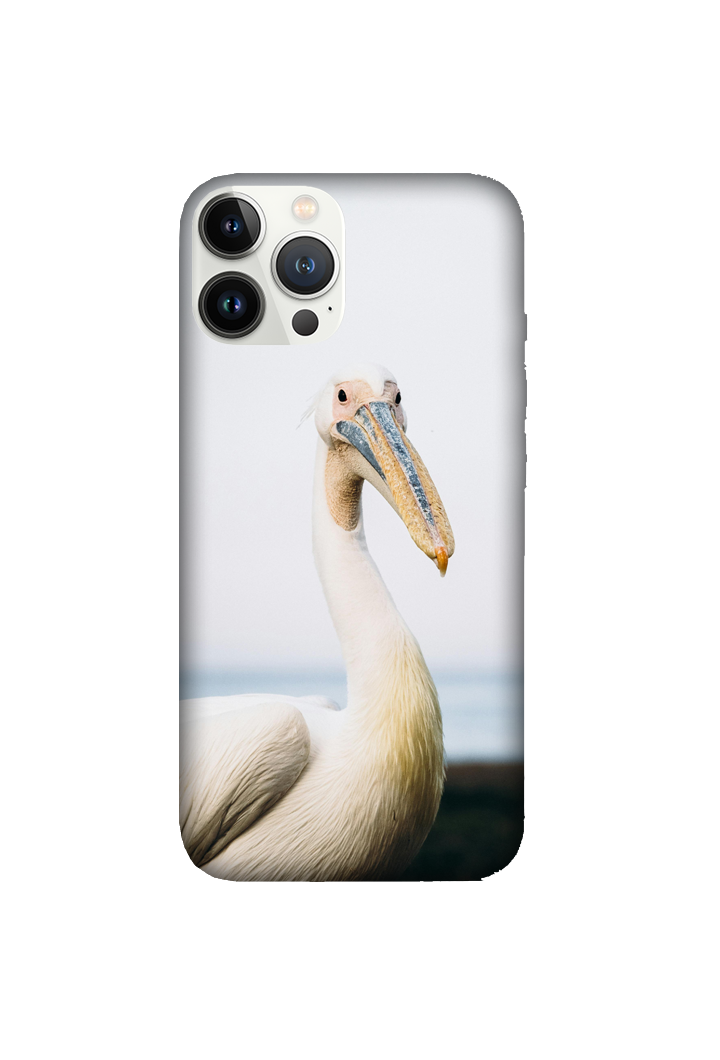 Birds 076