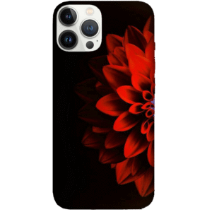 Designs 209