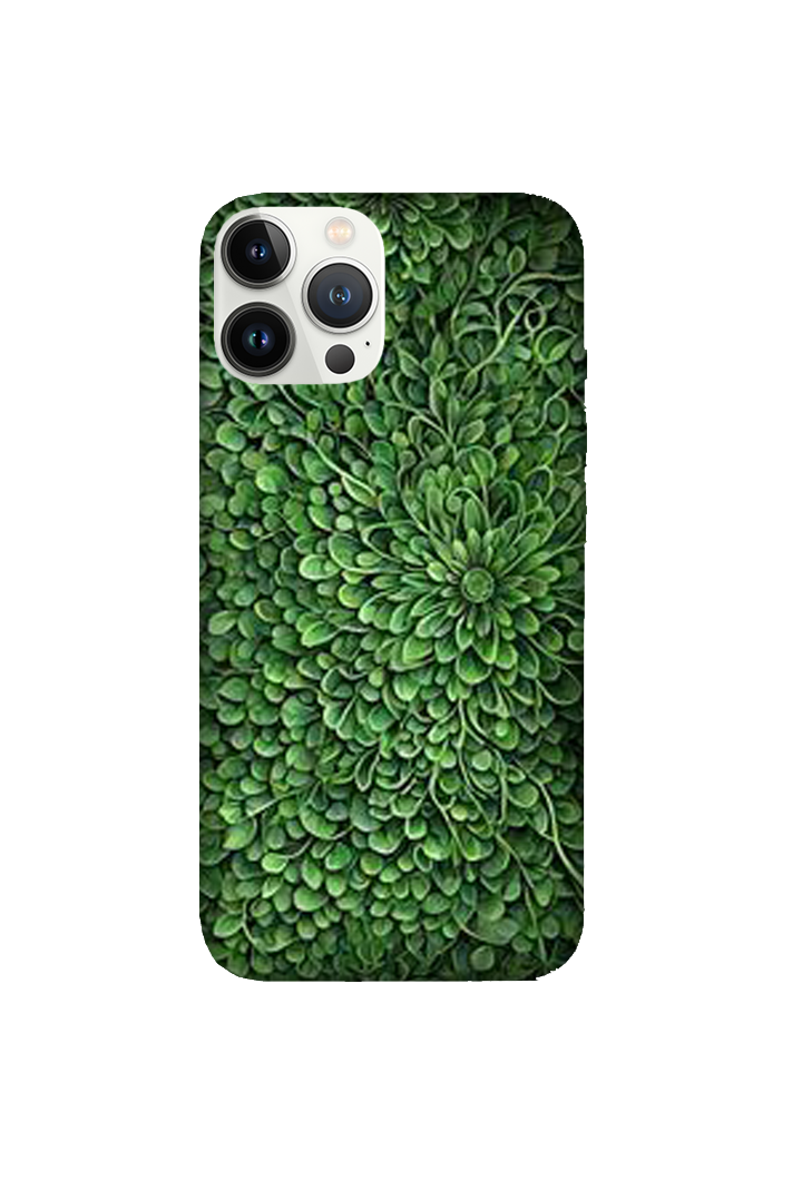 Designs 072