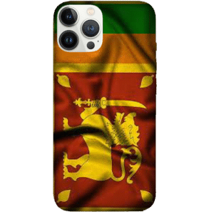 Flags 039