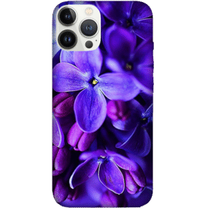 Flowers 001