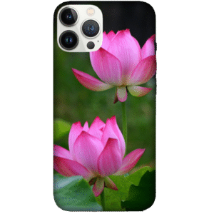 Flowers 100