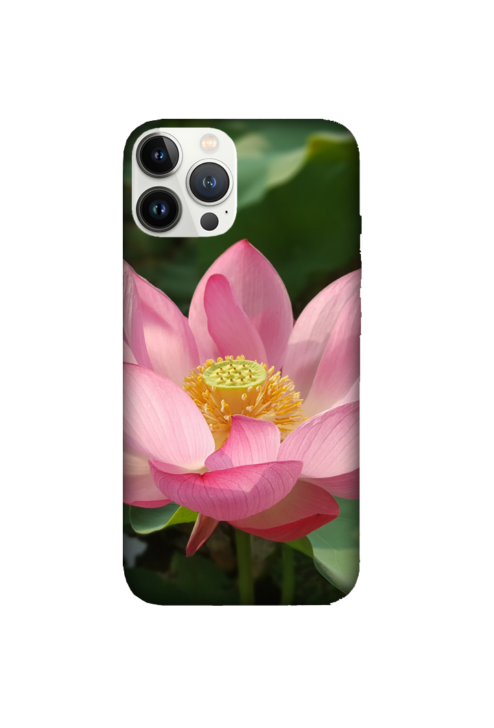 Flowers 101