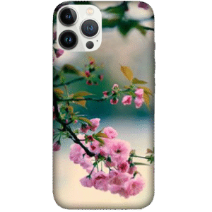 Flowers 102