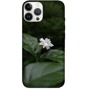 Flowers 103