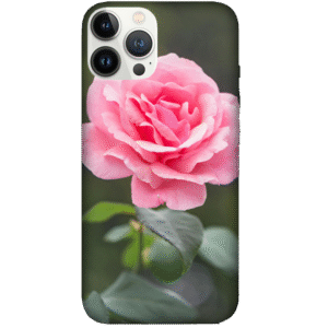 Flowers 104