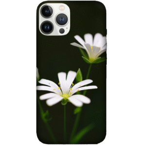 Flowers 107