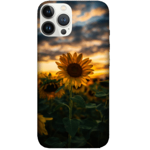 Flowers 109