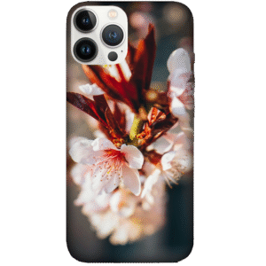 Flowers 111