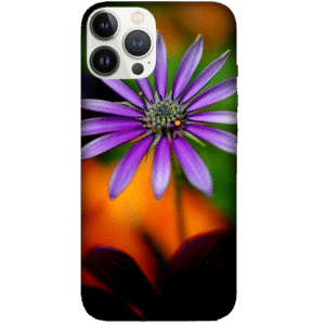 Flowers 013