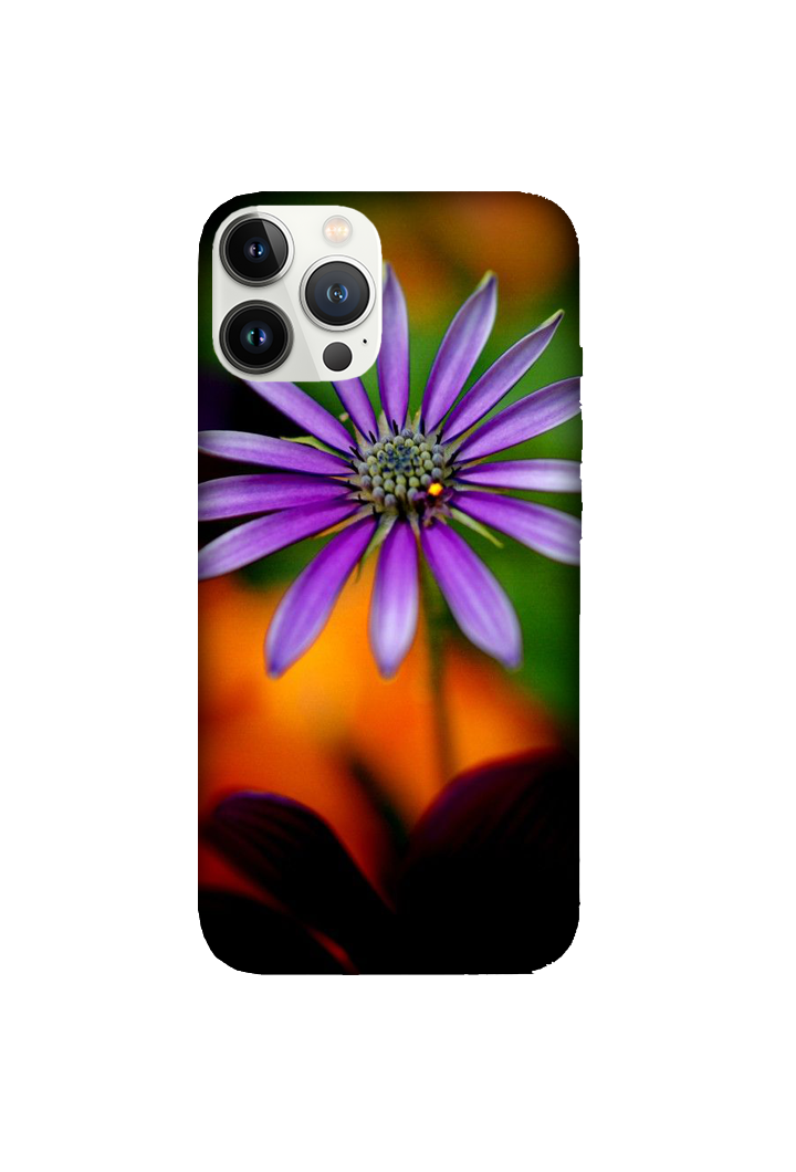 Flowers 013