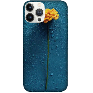 Flowers 016