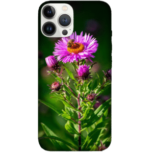 Flowers 017