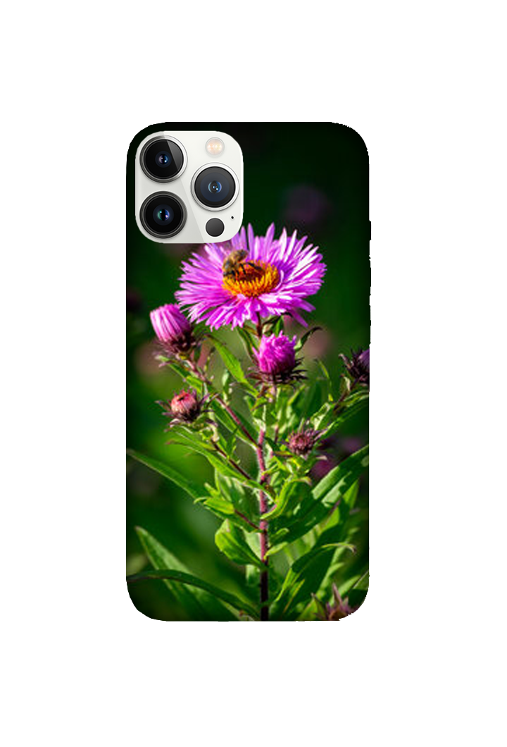 Flowers 017