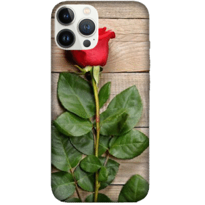 Flowers 022