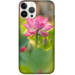Flowers 024