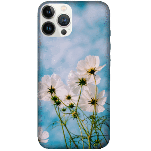 Flowers 003