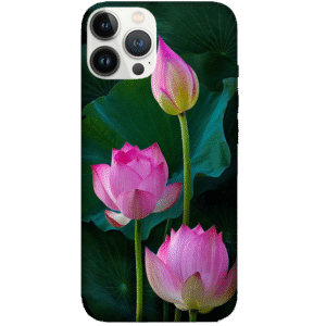Flowers 030