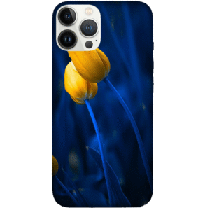 Flowers 032
