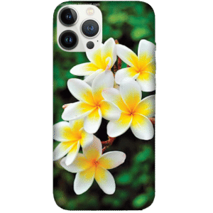 Flowers 033