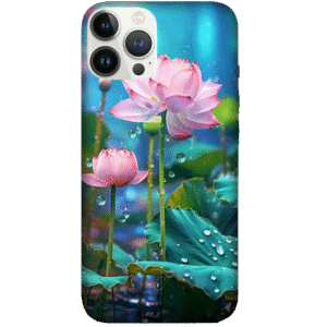 Flowers 034