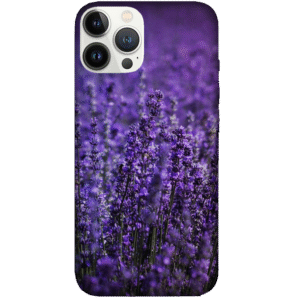 Flowers 035