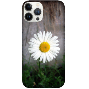 Flowers 038