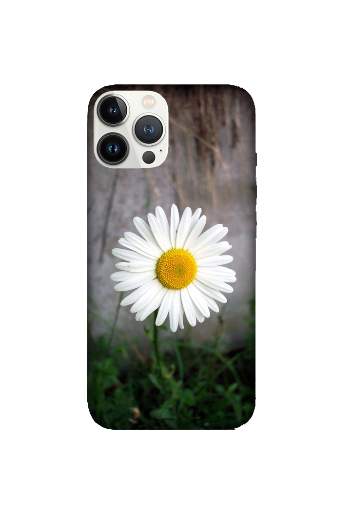 Flowers 038
