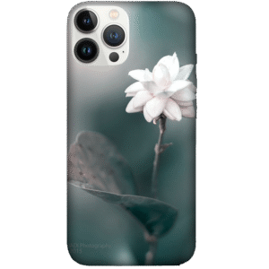 Flowers 039