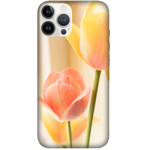 Flowers 004