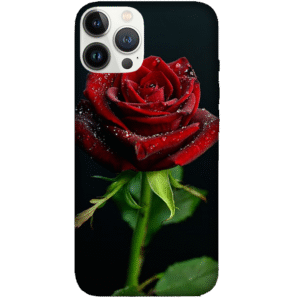 Flowers 040