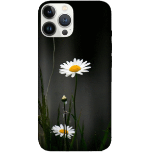 Flowers 041
