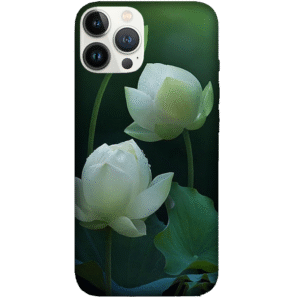 Flowers 046