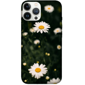 Flowers 047